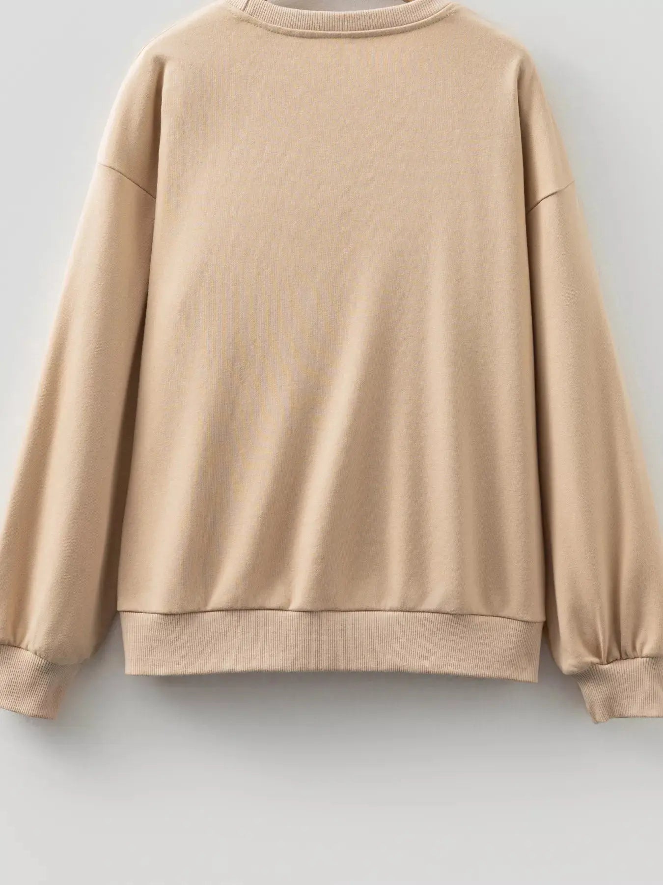 Embroidered Flower Pattern Drop Shoulder Sweatshirt  Style Ratio