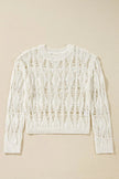 Hollow Out Long Sleeve Sweater  Style Ratio