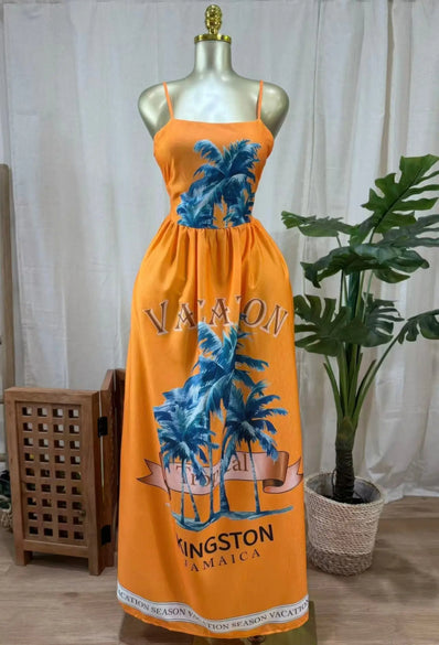 Kingston Palms Maxi Dress  Style Ratio