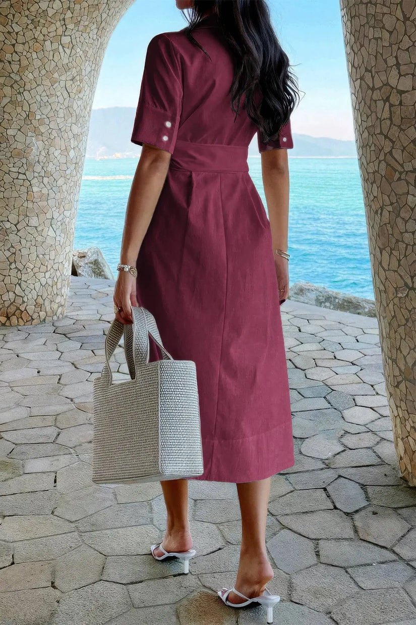 Solid Pocket Turn Down Collar A Line Dress  Style Ratio